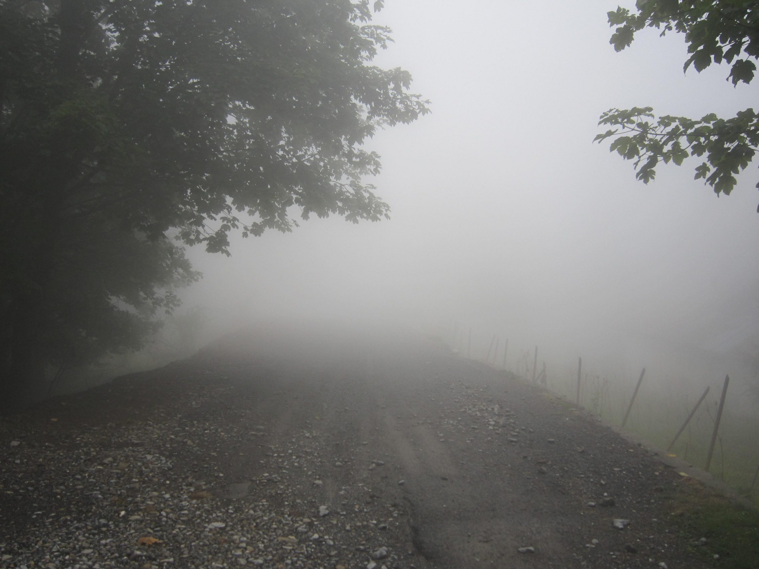 Examen Prayer offers a way down the foggy road of life.
