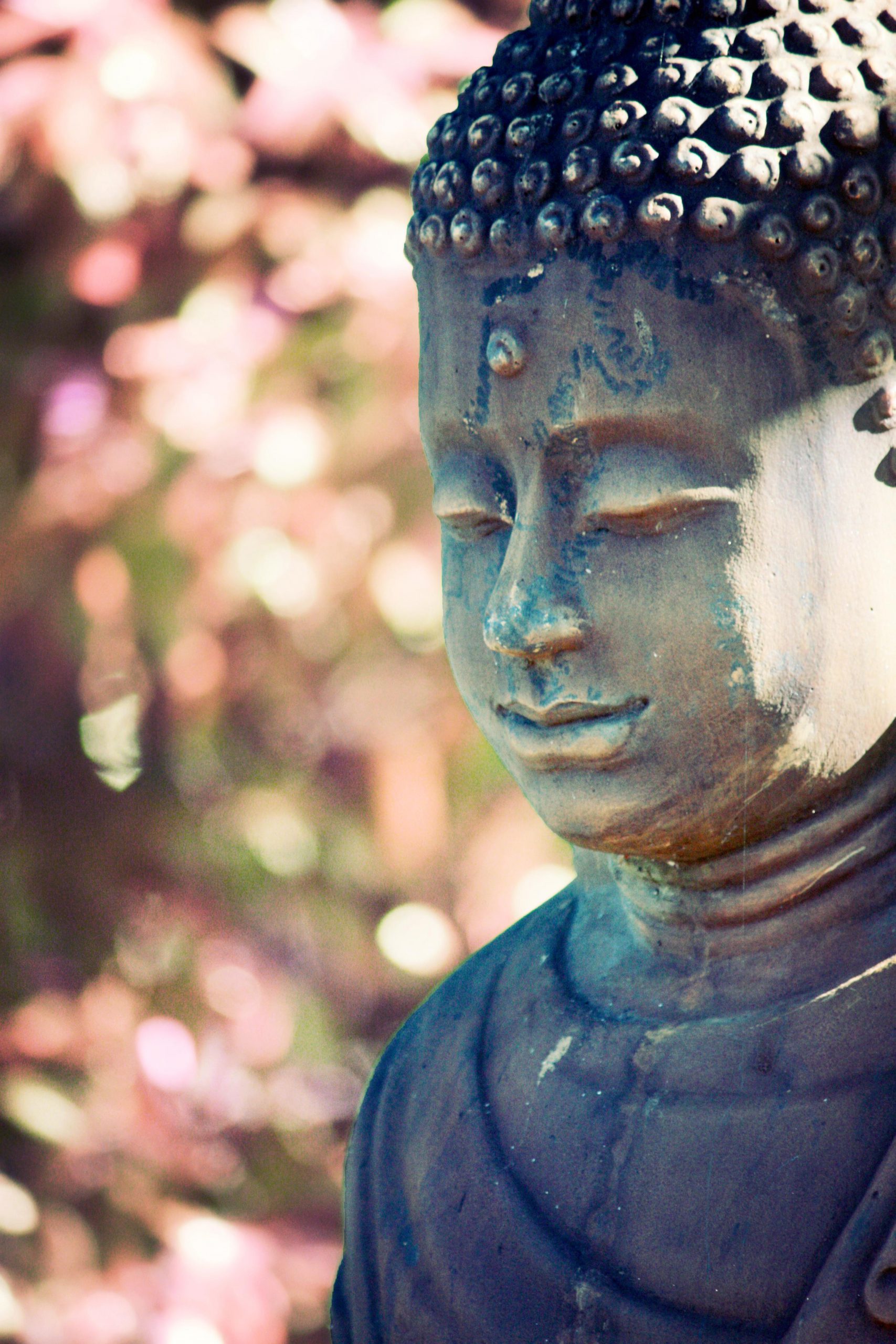 Buddhism offers Christians resources for prayer.