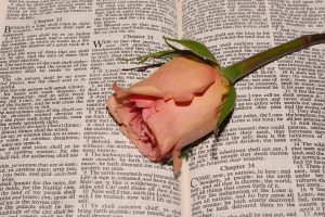 Nicodemus found the Word he had been looking for in the man, Jesus.