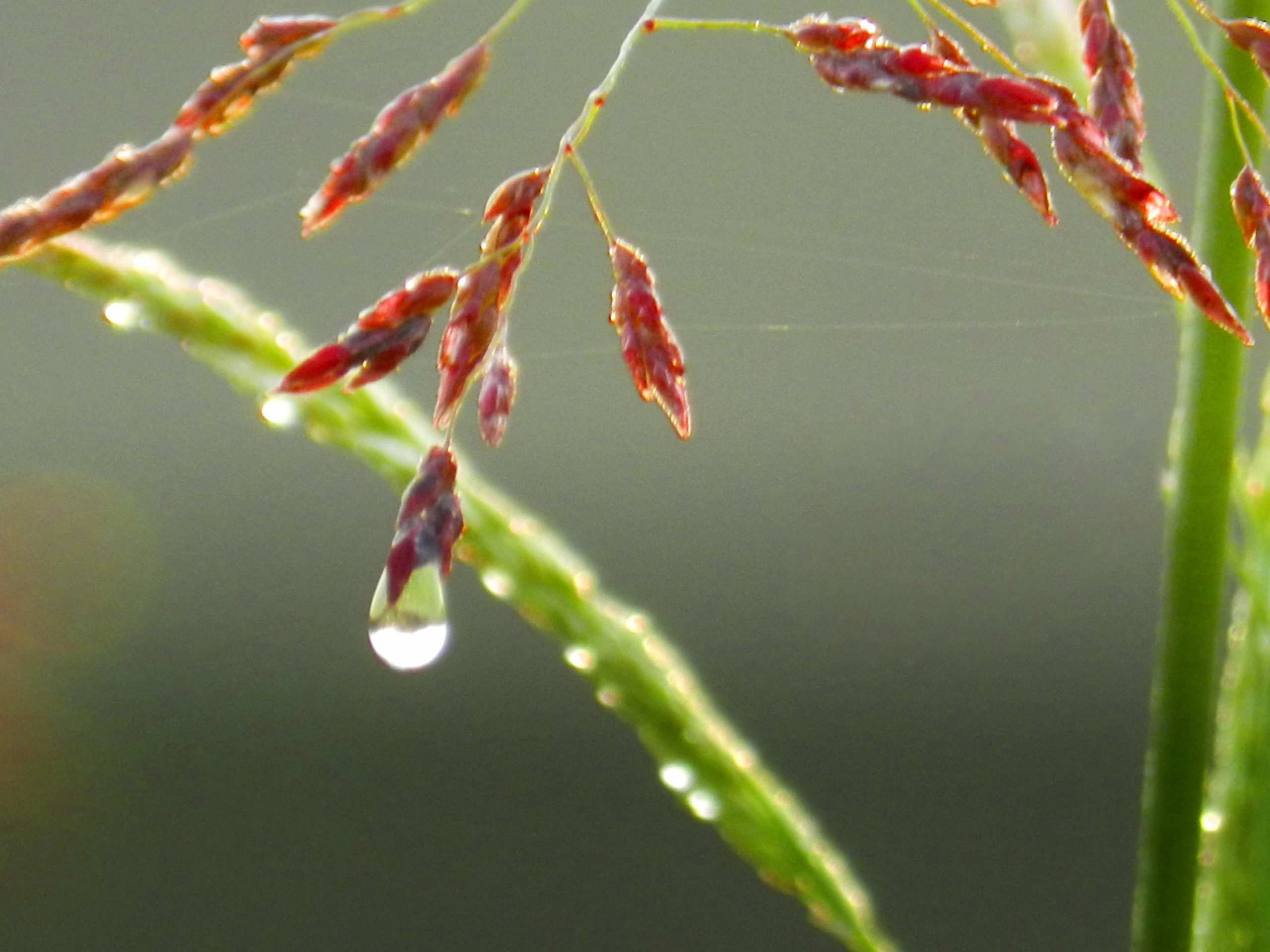 Overwhelming experiences vary from gazing at a dew drop to overwork.