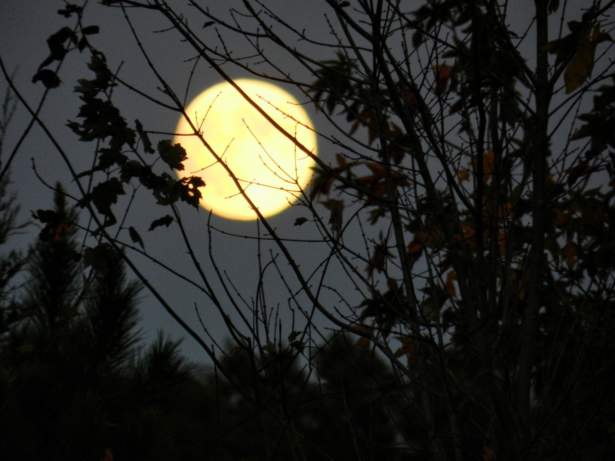 Only the suffering God can meet us in the night.
