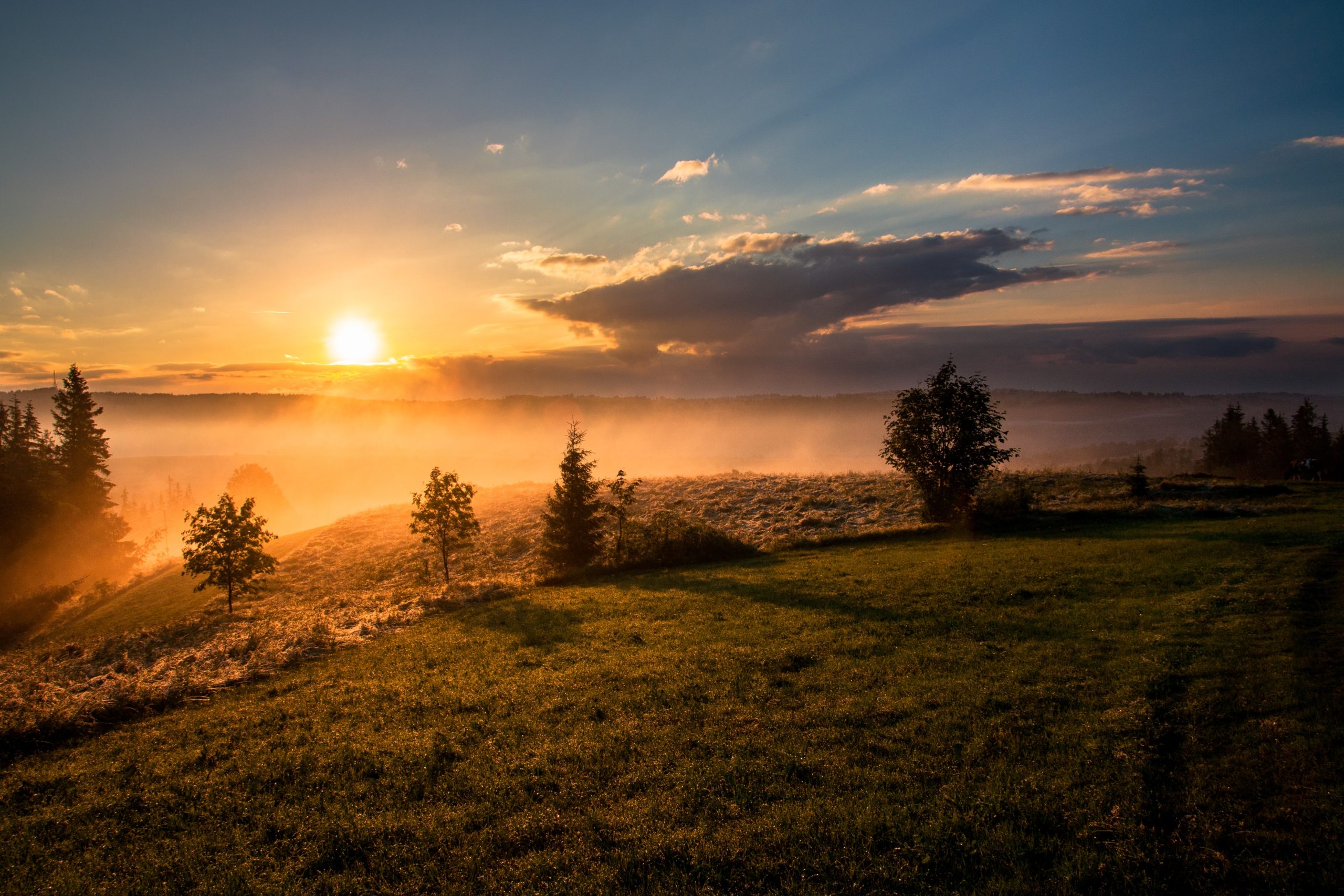 soft morning light