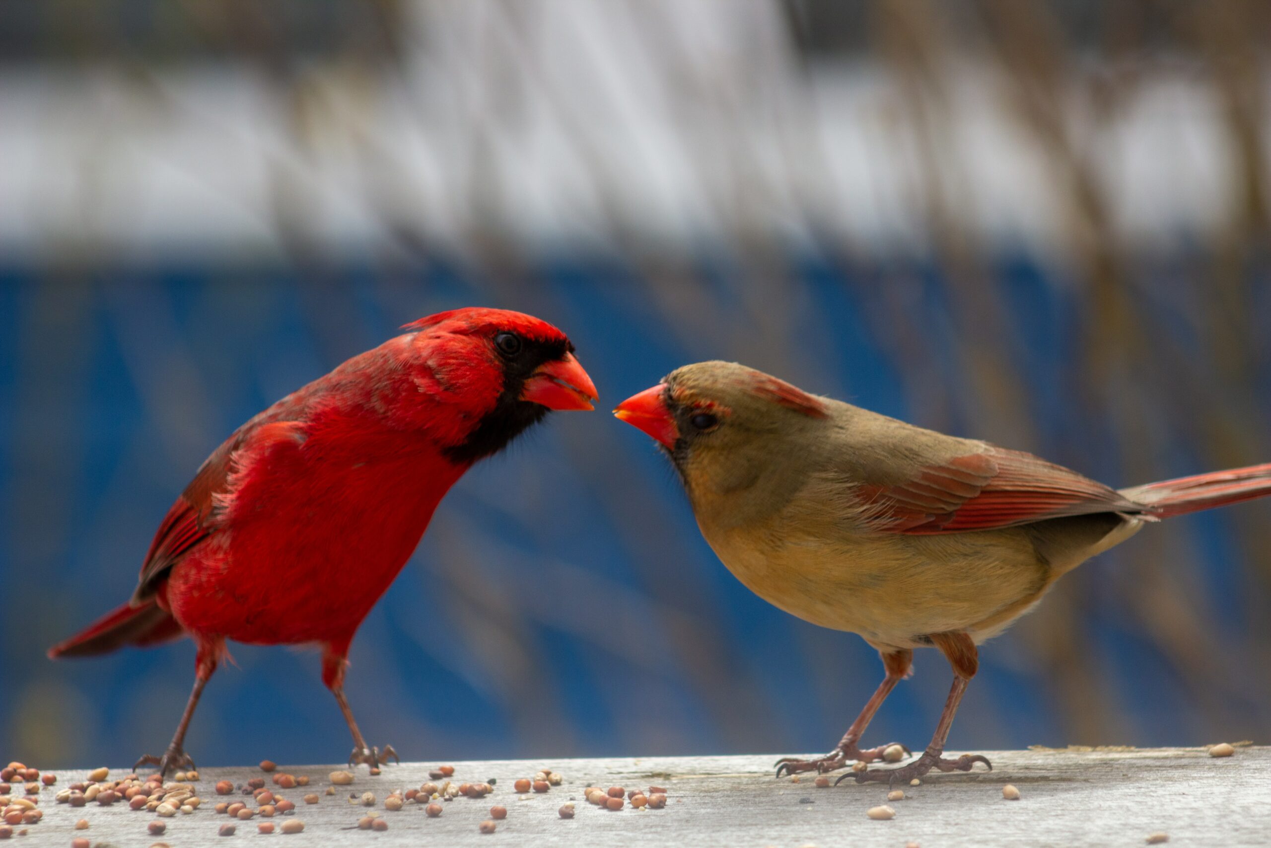 Searching for something eternal is like searching for another bird to flirt with.