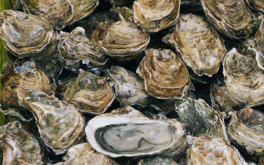 Heart Like an Oyster (poem)