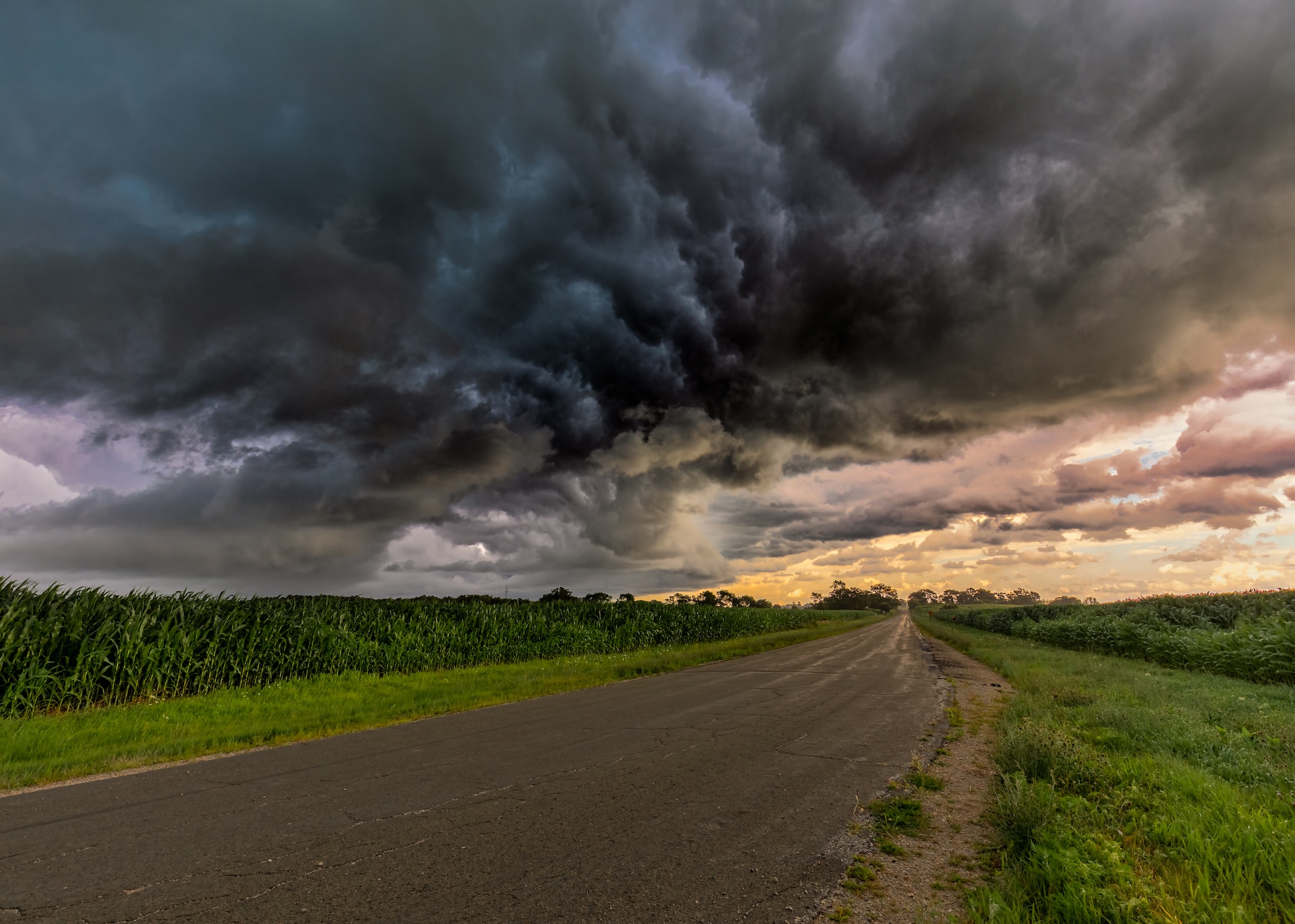 Rapture? Or just being alert on the road?