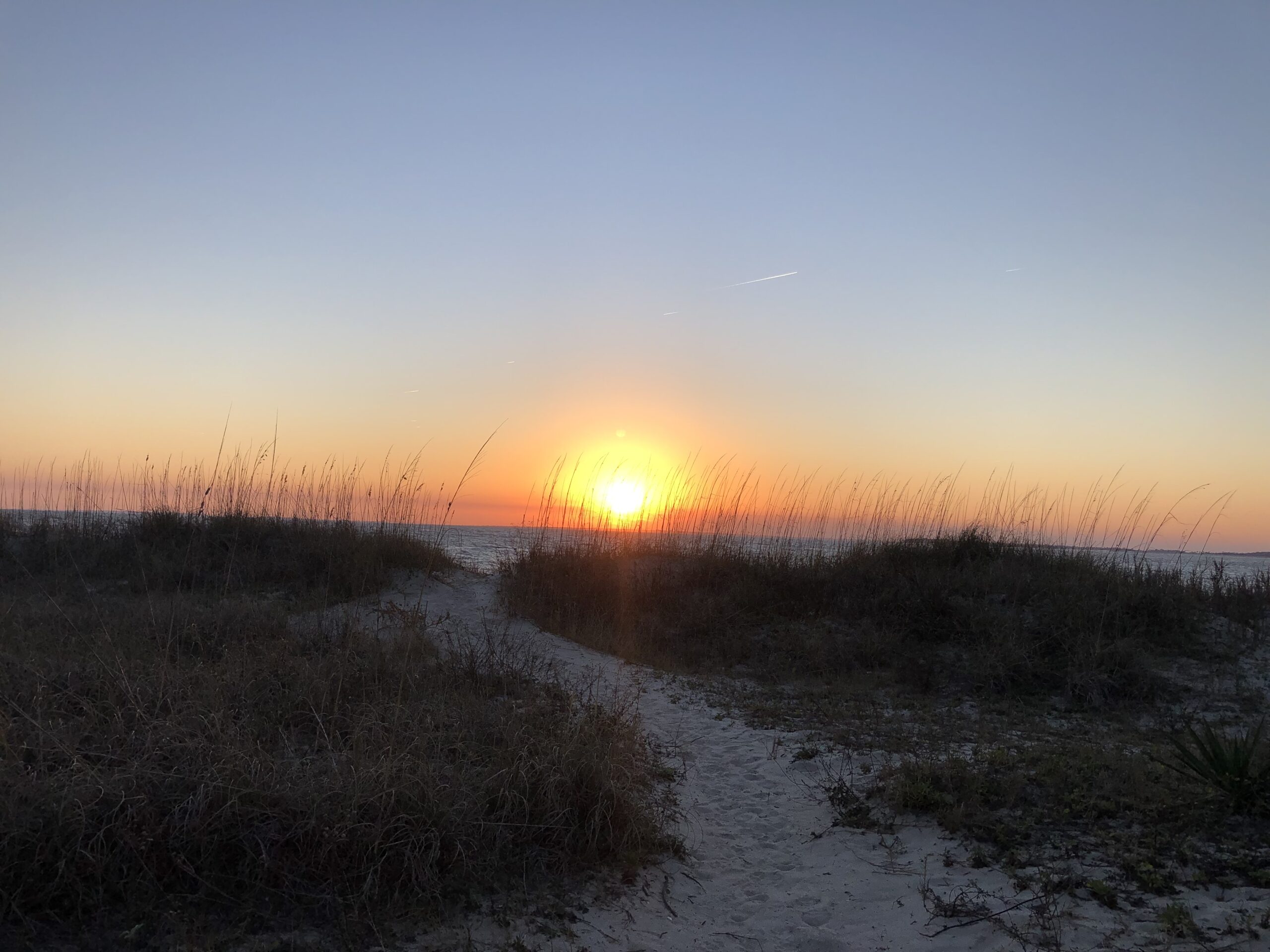 The good is like the sun and beauty.