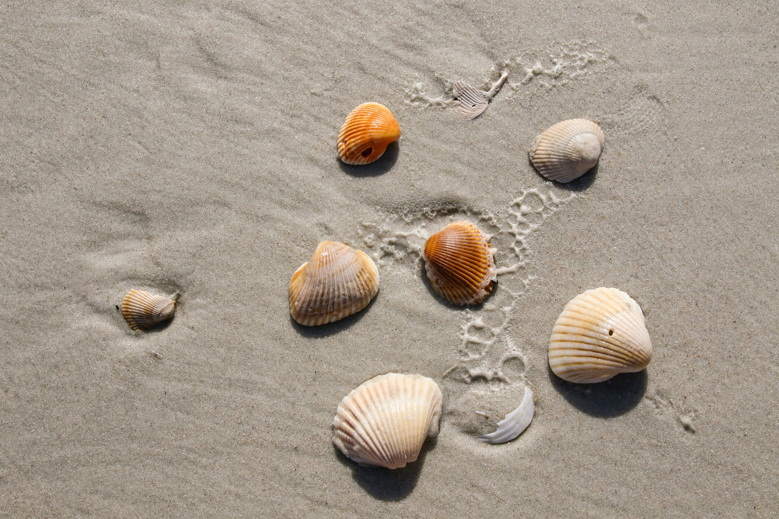 Shell work is greater than you think.