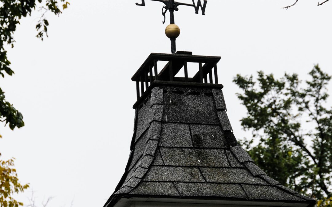Truth In the Wind: A Sermon on John 16:12-15