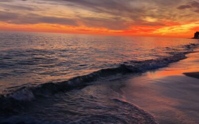 The Disruptive Love of Christ: Sermon on Luke 12:49-56