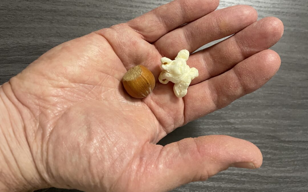Hazelnut and Popcorn (poem)