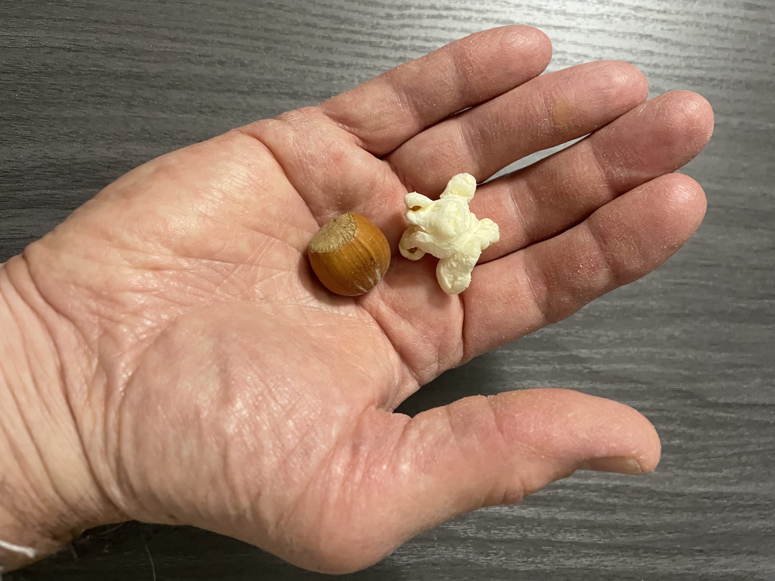 IMG_0954 Hazelnut and Popcorn